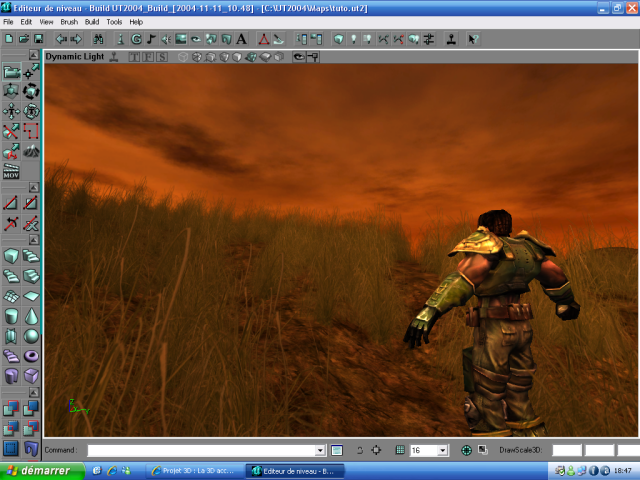 L'herbe est en place