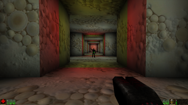 Le joueur peut se voir soi-même à travers la warpzone